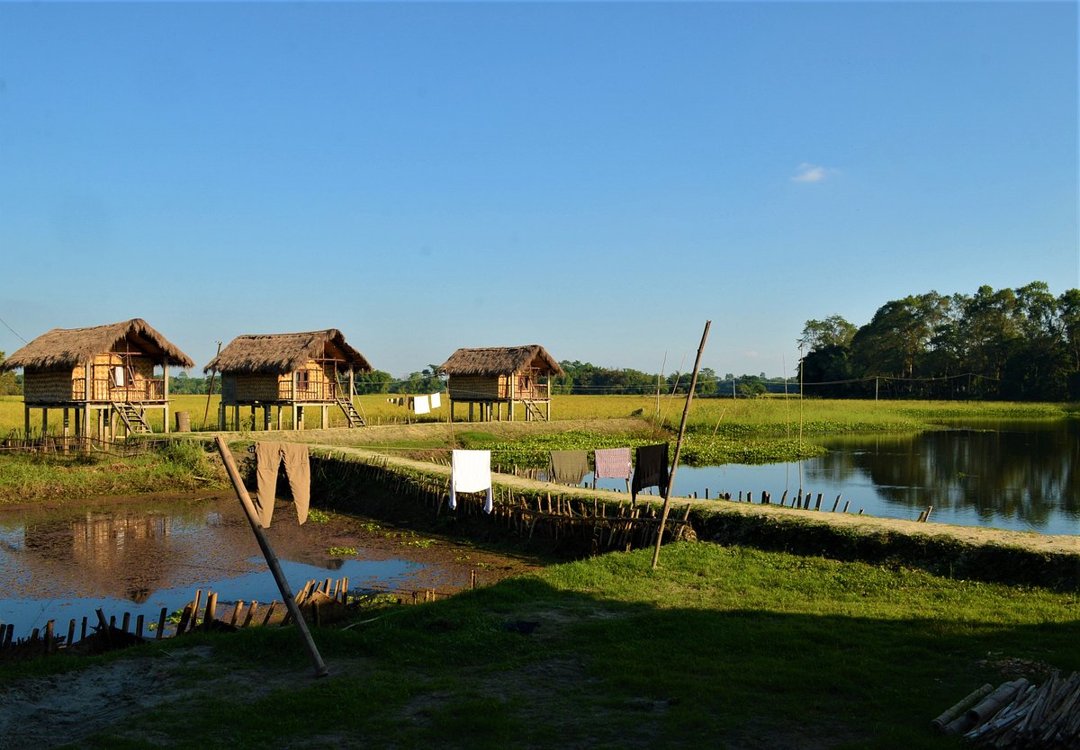 Majuli Island Retreat